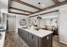 021-ascend-rosedale-kitchen3